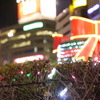 街の光