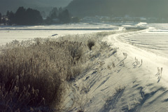 冬の田舎道