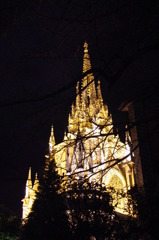 IMGP1823