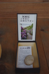 IMGP2193