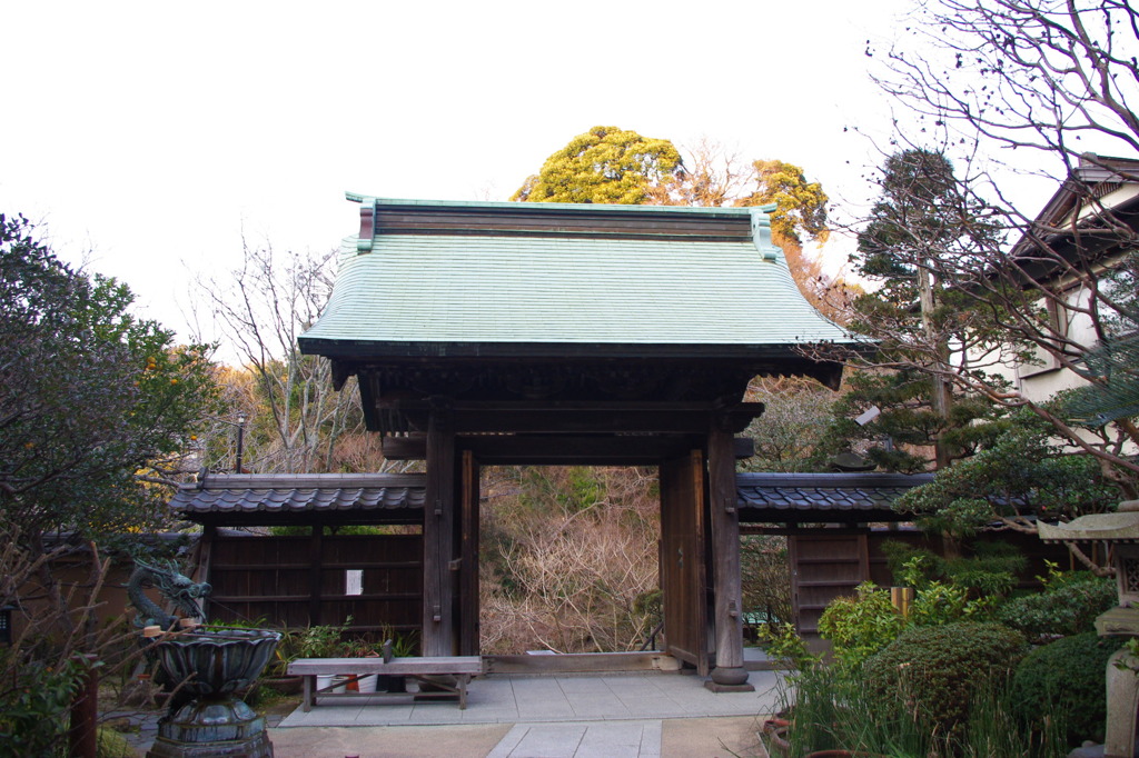 IMGP2201