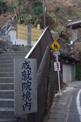 IMGP2180