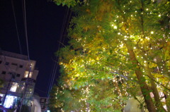 IMGP1796