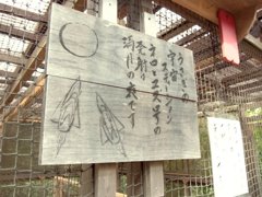 20111105_35