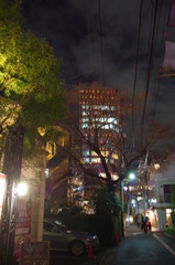 IMGP1817