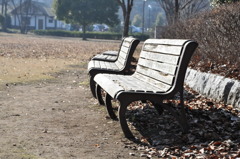 冬の公園のベンチ