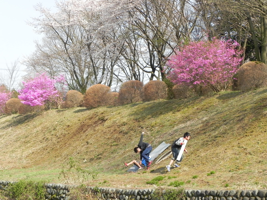草すべり