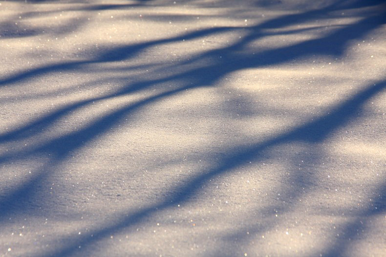 　雪紋　D