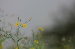 心の休息