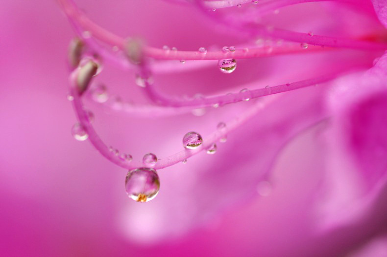 　　雨の余韻　3