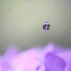 　　一粒の雨