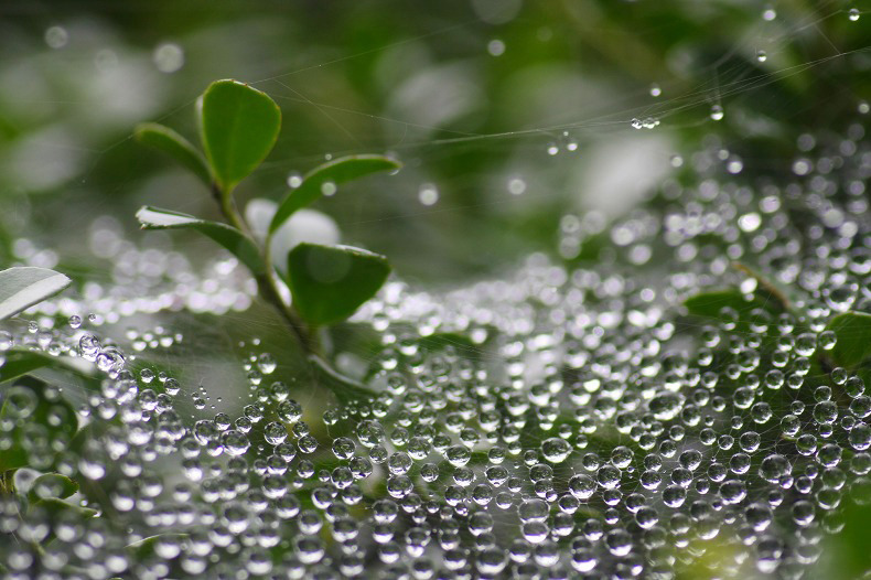 　　雨あがる　　