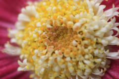 　豪華