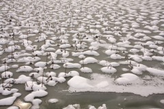 　雪模様