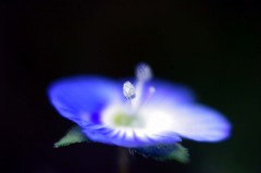 　幻想
