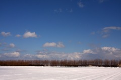 　雪の晴れ間