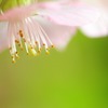 　君を想う