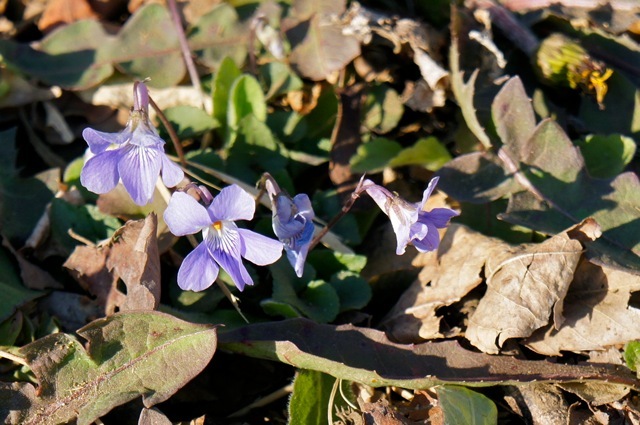 DSC02123_2
