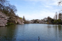 DSC02147