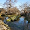 忍野八海