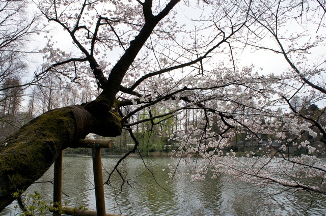 DSC02140