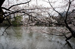 DSC02142