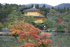 秋深まる金閣寺