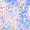 Ice flower