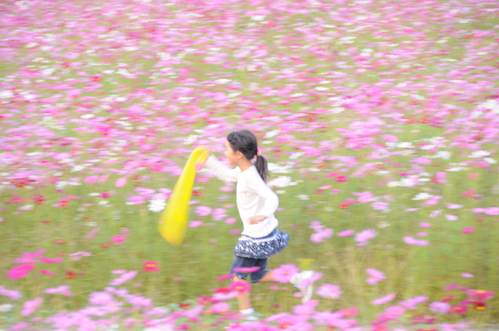 2010年朝比奈大龍勢 