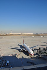 羽田空港国際ターミナル