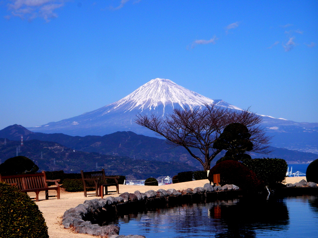 日本平からみえる富士山