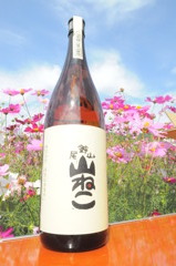 2010年朝比奈大龍勢 
