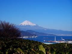 日本平からみえる富士山