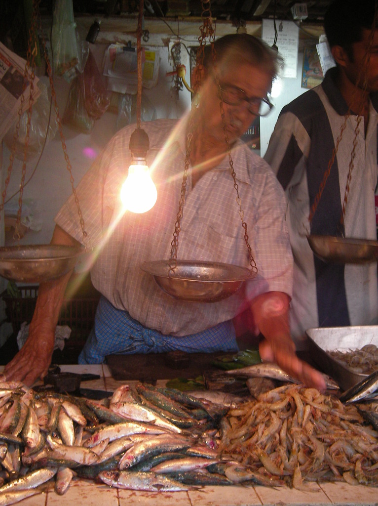 スリランカの魚屋