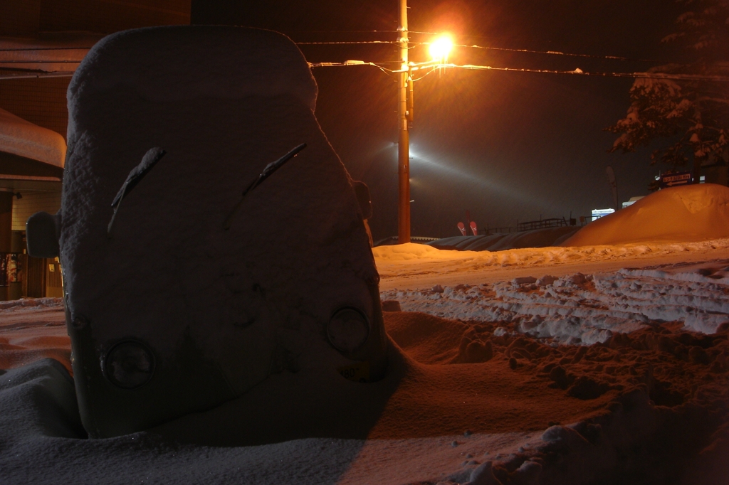 buried in the snow