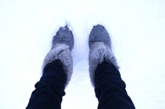 冬の足