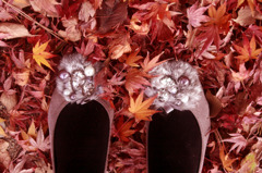 秋の足
