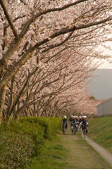 花の野球道