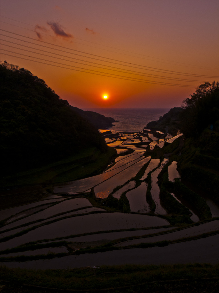 紫紺の海へ