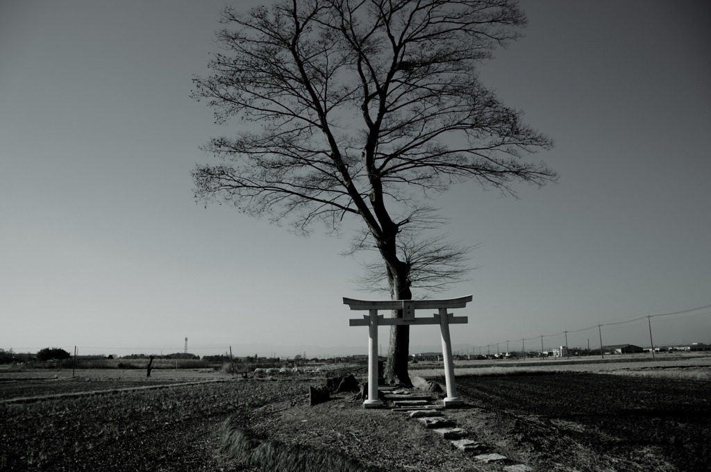 鳥居