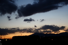 IMG_3551
