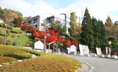 京都産業大学　2