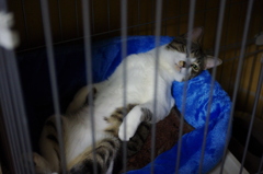 安眠してました。