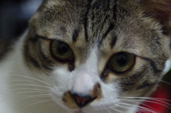 あっぷぅぅう。