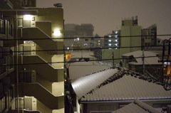 雪。積もった。