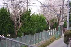 実家のベランダより。