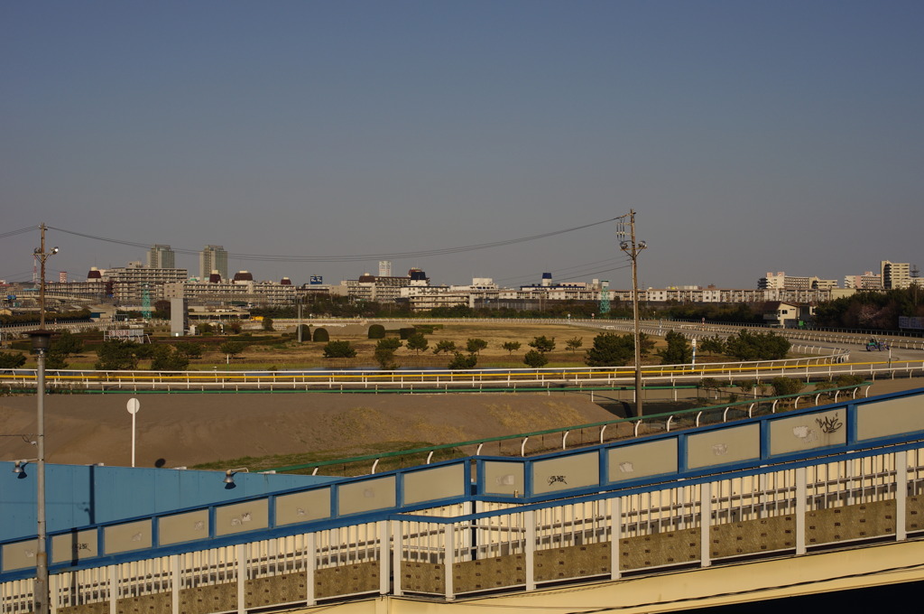船橋競馬場2。