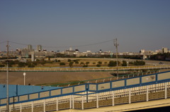 船橋競馬場2。