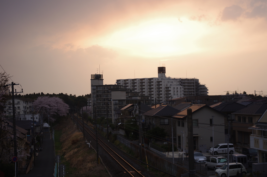 懐かしい光景。