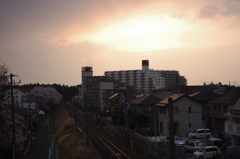 懐かしい光景。